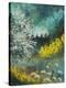 Hawthorne and brooms-Pol Ledent-Stretched Canvas