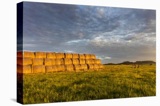 Hay Bales and Chalk Buttes Receive Beautiful Morning Light Near Ekalaka, Montana, Usa-Chuck Haney-Premier Image Canvas