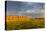 Hay Bales and Chalk Buttes Receive Beautiful Morning Light Near Ekalaka, Montana, Usa-Chuck Haney-Premier Image Canvas