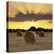 Hay Bales at Sunset, East Sussex, England, United Kingdom, Europe-Stuart Black-Premier Image Canvas