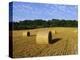 Hay Bales in a Field in Late Summer, Kent, England, UK, Europe-David Tipling-Premier Image Canvas
