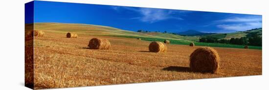 Hay Bales in a Field, Val D'Orcia, Siena Province, Tuscany, Italy-null-Premier Image Canvas