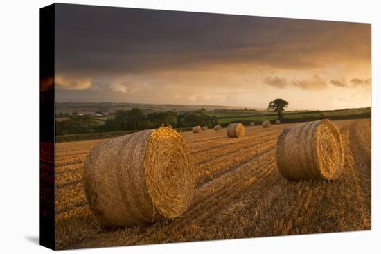 Hay Bales in a Ploughed Field at Sunset, Eastington, Devon, England. Summer (August)-Adam Burton-Premier Image Canvas