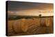 Hay Bales in a Ploughed Field at Sunset, Eastington, Devon, England. Summer (August)-Adam Burton-Premier Image Canvas