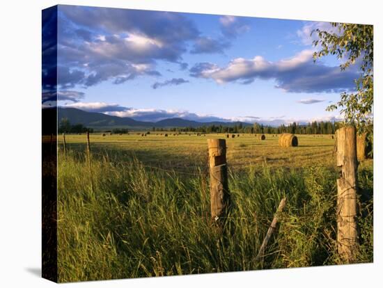 Hay Bales in Field, Whitefish, Montana, USA-Chuck Haney-Premier Image Canvas