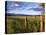 Hay Bales in Field, Whitefish, Montana, USA-Chuck Haney-Premier Image Canvas