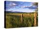 Hay Bales in Field, Whitefish, Montana, USA-Chuck Haney-Premier Image Canvas