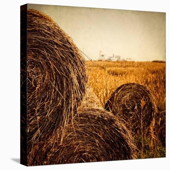 Hay Bales in the Countryside with Industry in the Background-Luis Beltran-Premier Image Canvas