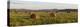 Hay Bales , the International Appalachian Trail. Merrill, Near Smyrna Mills-Jerry and Marcy Monkman-Premier Image Canvas
