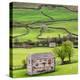 Hay Barns, Muker, Swaledale, Yorkshire Dales, Yorkshire, England, United Kingdom, Europe-Bill Ward-Premier Image Canvas