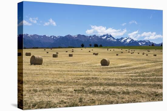 Hay Field in the Landscape, Patagonia, Argentina-Peter Groenendijk-Premier Image Canvas