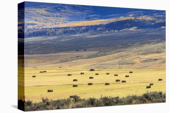 Hay Fields Outside of Steamboat Springs, Colorado-Maresa Pryor-Premier Image Canvas