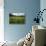 Hay Meadow In Slovenia-Bob Gibbons-Premier Image Canvas displayed on a wall