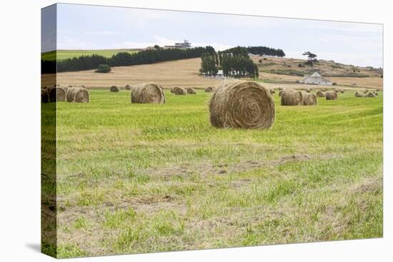 Hay Rolls III-Dana Styber-Premier Image Canvas