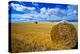 Hay & Sky-Jason Savage-Stretched Canvas