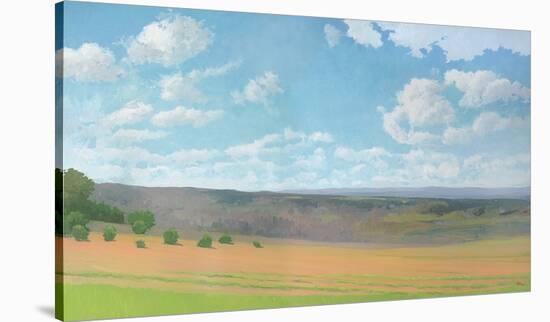 Hayfield I-Elissa Gore-Stretched Canvas