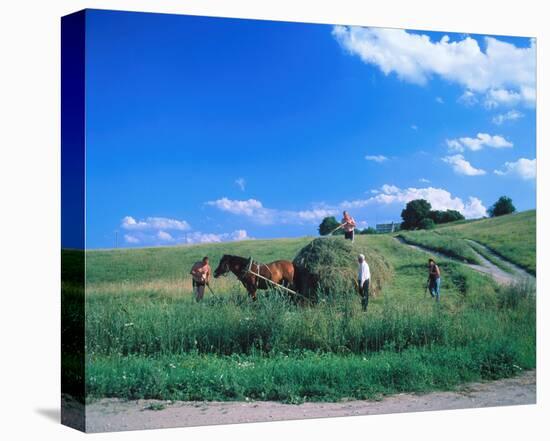 Haymaking near Trakai, Lithuania, Baltic States-null-Stretched Canvas