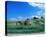 Haymaking near Trakai, Lithuania, Baltic States-null-Stretched Canvas