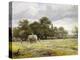 Haymaking-Benjamin Williams Leader-Premier Image Canvas