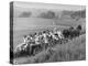 Hayride for Mansfield, Ohio, Senior High School Graduating Class-Alfred Eisenstaedt-Premier Image Canvas