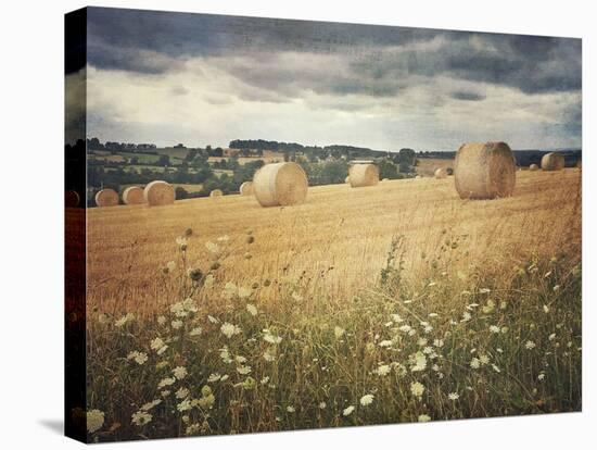 Hayrolls-Dawne Polis-Stretched Canvas