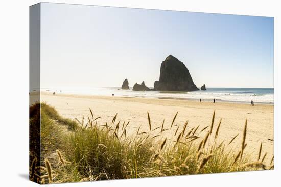 Haystack Rock and The Needles, with Gynerium spikes in the foreground, Cannon Beach-francesco vaninetti-Premier Image Canvas