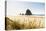 Haystack Rock and The Needles, with Gynerium spikes in the foreground, Cannon Beach-francesco vaninetti-Premier Image Canvas