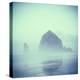 Haystack Rock In Cannon Beach, OR-Justin Bailie-Premier Image Canvas