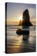 Haystack Rock Pinnacles at low tide in Cannon Beach, Oregon, USA-Chuck Haney-Premier Image Canvas