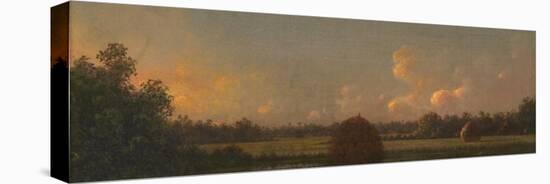 Haystacks, C.1876–82-Martin Johnson Heade-Premier Image Canvas