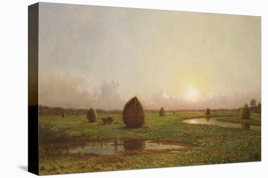 Haystacks, C.1876-88-Martin Johnson Heade-Premier Image Canvas