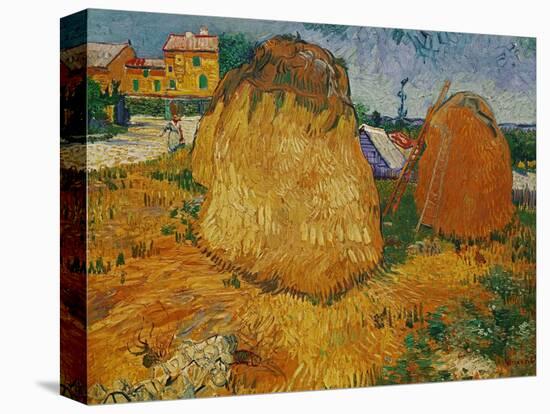 Haystacks in Provence, c.1888-Vincent van Gogh-Premier Image Canvas