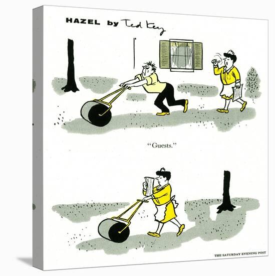 Hazel Cartoon-Ted Key-Premier Image Canvas