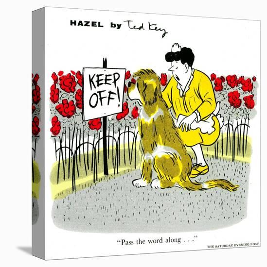 Hazel Cartoon-Ted Key-Premier Image Canvas