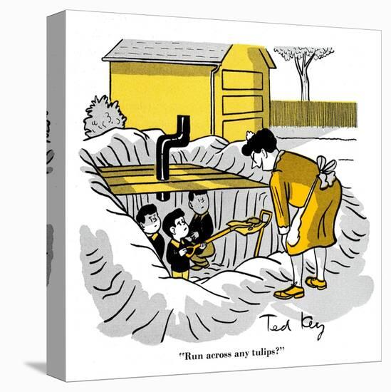 Hazel Cartoon-Ted Key-Premier Image Canvas