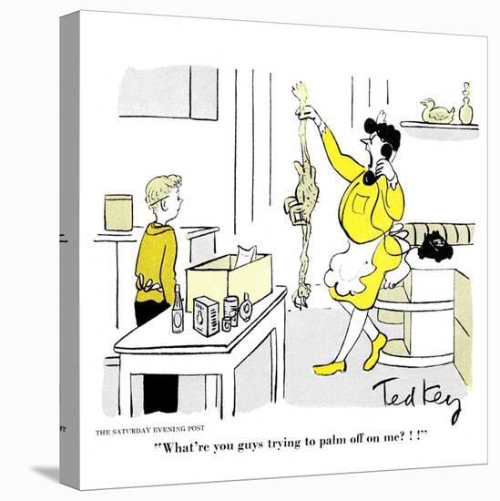 Hazel Cartoon-Ted Key-Premier Image Canvas