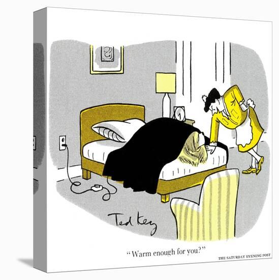 Hazel Cartoon-Ted Key-Premier Image Canvas