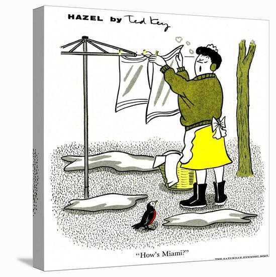 Hazel Cartoon-Ted Key-Premier Image Canvas