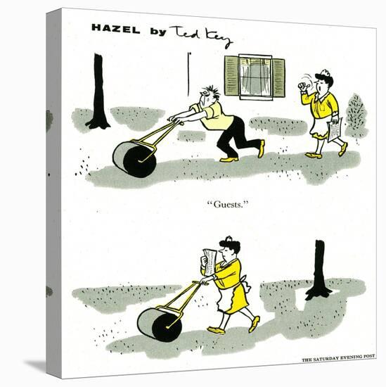 Hazel Cartoon-Ted Key-Premier Image Canvas