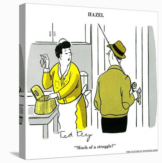 Hazel Cartoon-Ted Key-Premier Image Canvas