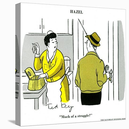 Hazel Cartoon-Ted Key-Premier Image Canvas