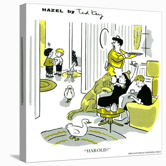 Hazel Cartoon-Ted Key-Premier Image Canvas