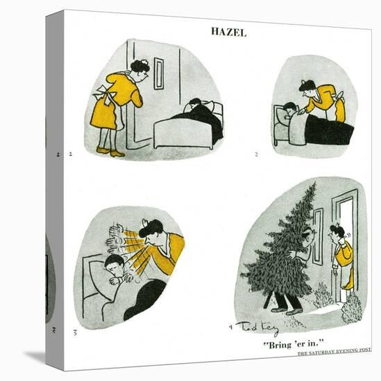 Hazel Cartoon-Ted Key-Premier Image Canvas