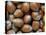 Hazelnuts, Belgium-Philippe Clement-Premier Image Canvas