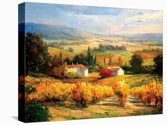 Hazy Tuscan Farm-S. Hinus-Stretched Canvas