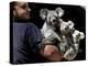 Head Keeper at Sydney's Koala Park Holds 'Kamara' and Her Two One Year-Old Babies-null-Premier Image Canvas