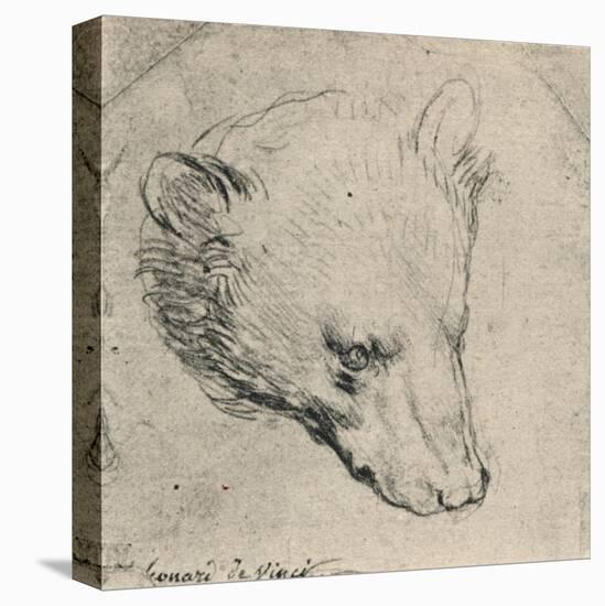 'Head of a Bear', c1480 (1945)-Leonardo Da Vinci-Premier Image Canvas