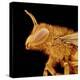 Head of a Bee-Micro Discovery-Premier Image Canvas