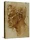 Head of a Faun-Michelangelo Buonarroti-Premier Image Canvas