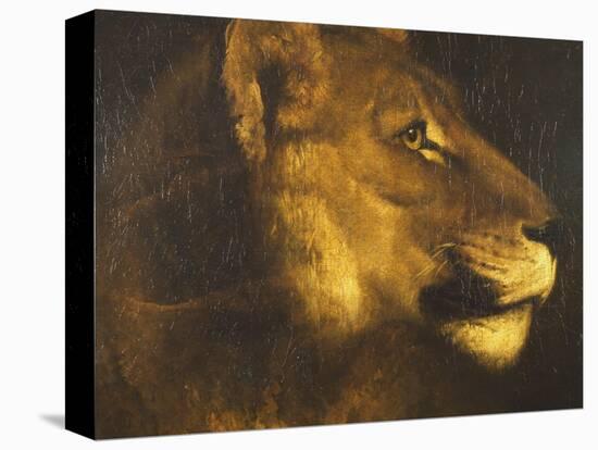 Head of a Lioness-Théodore Géricault-Premier Image Canvas